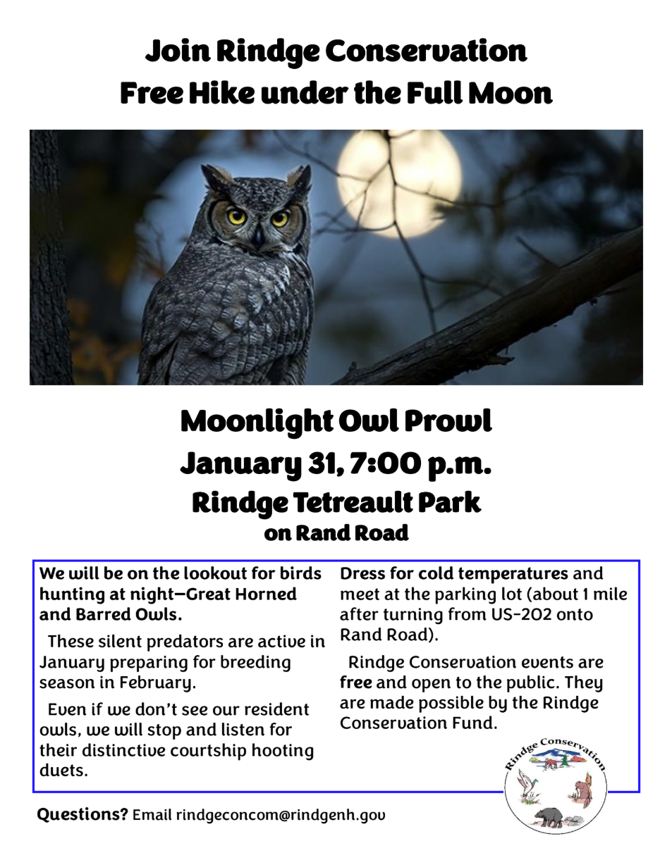 Screenshot 2026-01-19 084827